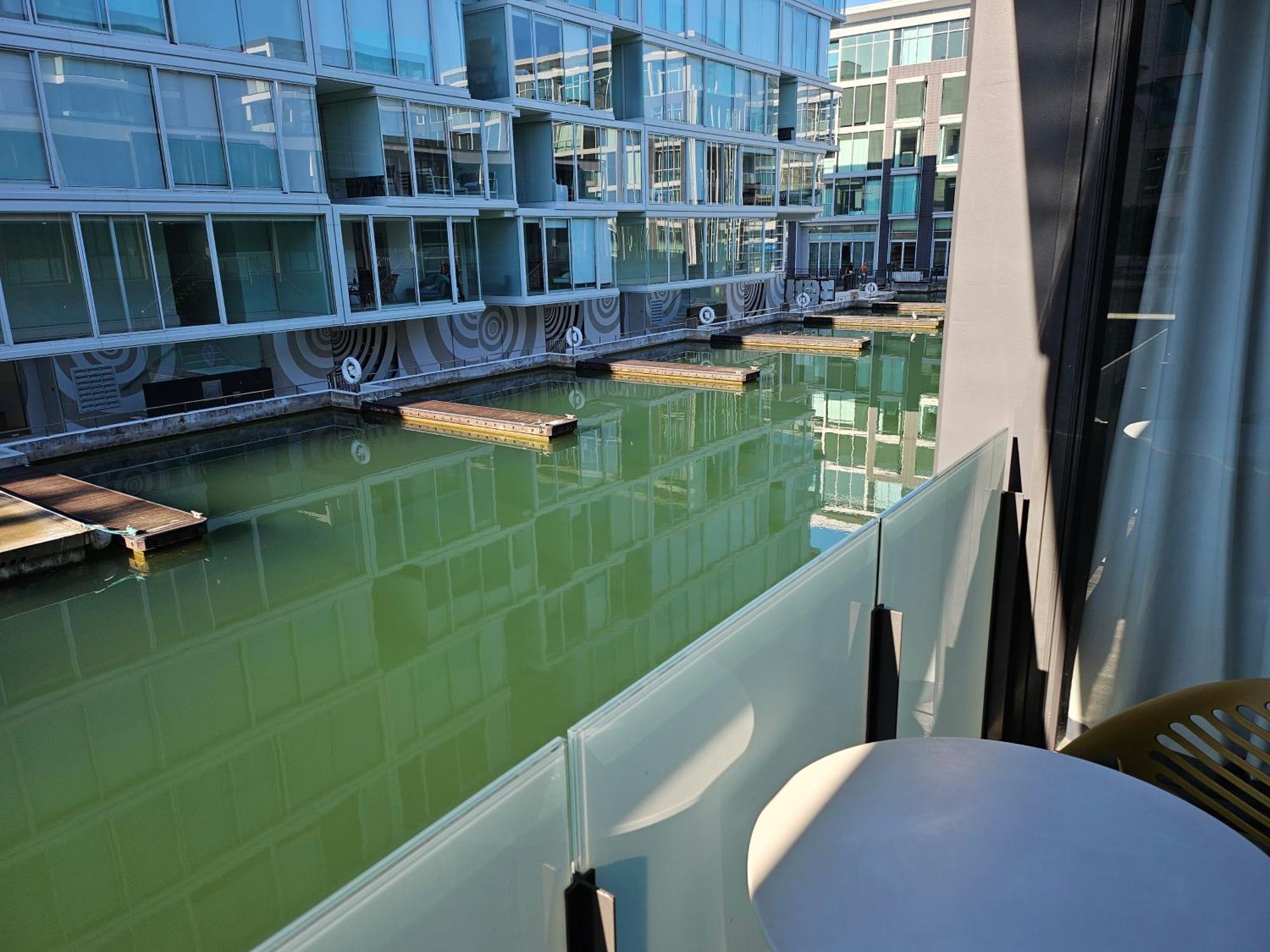Pavilions Marina Apartment 102 - Wynyard Quarter Viaduct Harbour Auckland Exterior photo